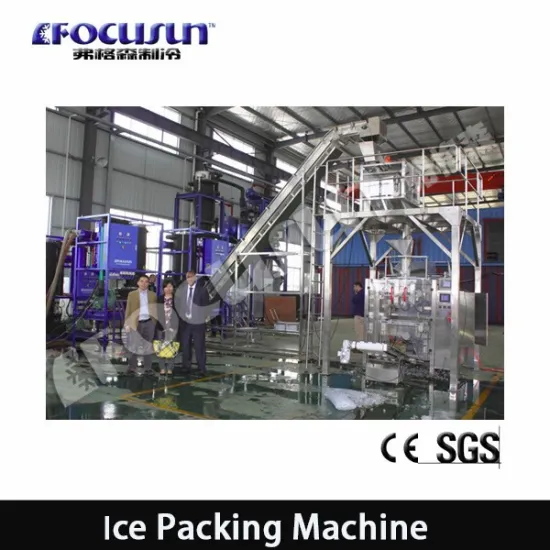 Full Automatic Ice Packing Machine/automatic packaging System
