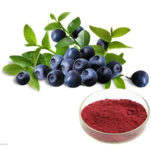 Wholesale Natural Bilberry Extract Powder