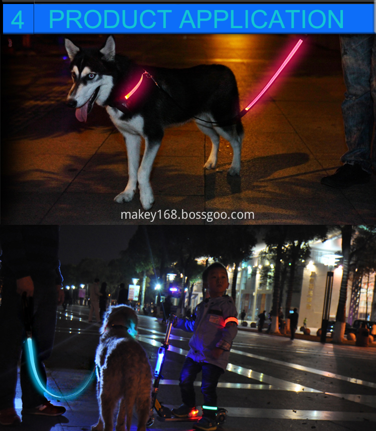 Flashing Led Dog Leash