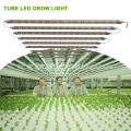 T8 Grow Light For Sale