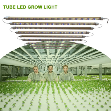 LED TUBE LED coltiva l&#39;erba leggera