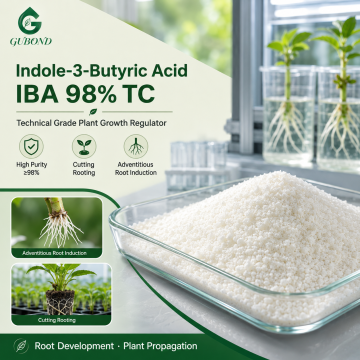 Indole-3-Butyric Acid IBA 98% TC لتركيبات تنظيم التجذير ونمو النبات