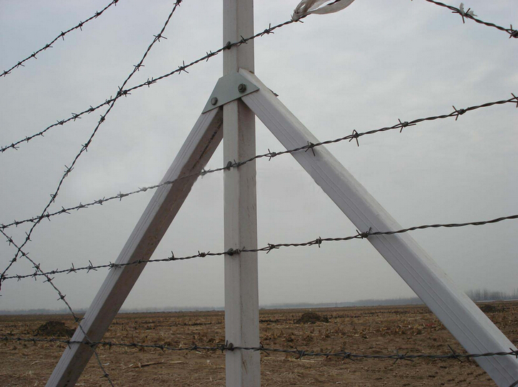 barbed wire (2)