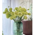 প্রিমিয়াম গ্রিন ফ্রেশ কাট ফ্লাওয়ার Lisianthus পাইকারি