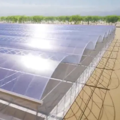 Agriculture Arched PC Board Commercial Greenhouse