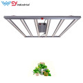 640watts grow lamp grow bar for indoor vegetables