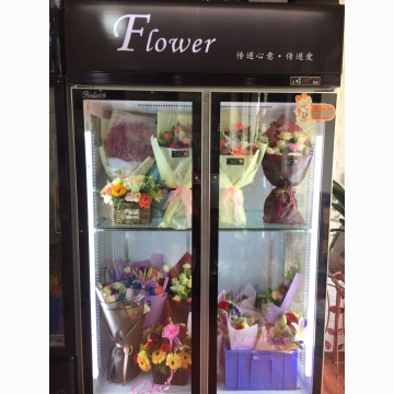 Display 2 Glass Flower Door Refrigerator - Shop Equipment