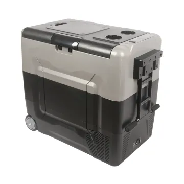 Kitchen DC Organizer: Ice Cream Car Refrigerator - Mini Fridge Solutions
