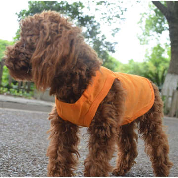 子犬の犬の服空白のTシャツのティーシャツ