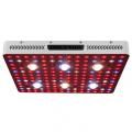 Najtańszy COB LED Grow Light Phlizon z wentylatorem