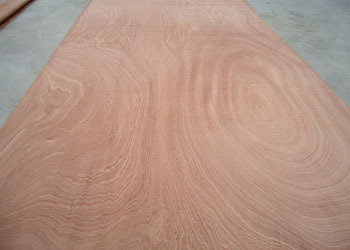 Rotary Cut Sapele Veneer