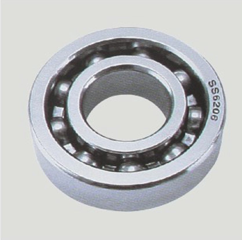 Deep Groove Ball Bearings-SS6004