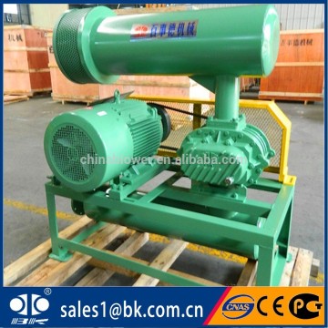 BK6008 Roots Rotary Lobe Air Blower