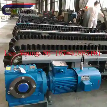 Electronic Constant Belt Weigh Feeder for Cement
