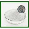 20b Probiotici efficaci L. bulgaricus