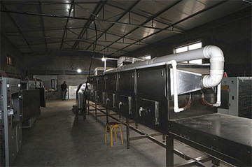 High Protein Horse Feed