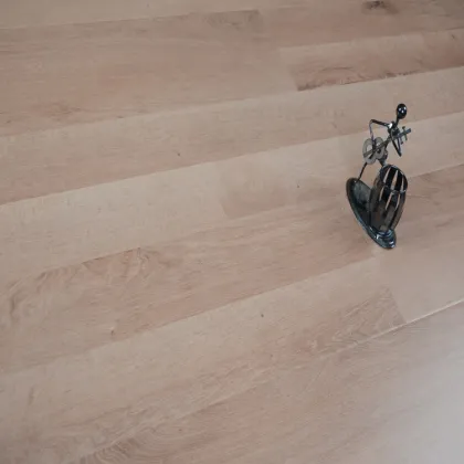 European Standard German Technology Laminate Flooring Cost