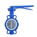 Ένα κομμάτι σώμα PTFE Seat Butterfly Valve