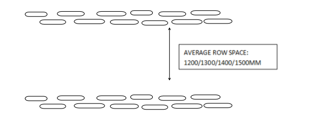 Average row space 2 row planter(planting one time as following)