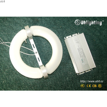 40W~300W circular fluorescent lamp
