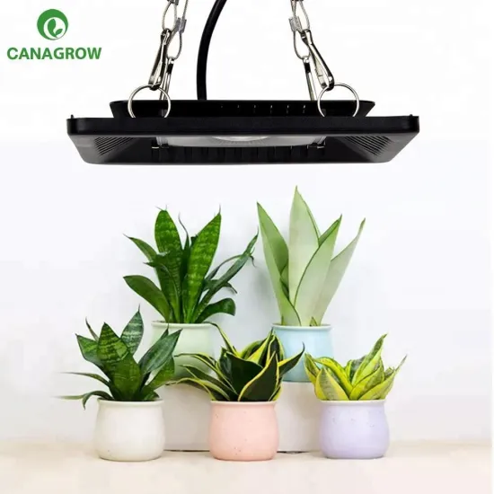 New Product Greenhouse Replace 600W Plant Full Spectrum COB Led Grow Light , Grow Growth Light Fixture