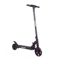 Scooter de pliere electrică 250W cu baterie de litiu