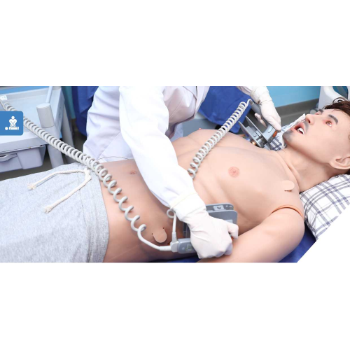 প্রাক্তন উন্নত মানব রোগী সিমুলেটর