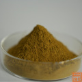 Extracto de hoja de oliva oleuropeína 20%