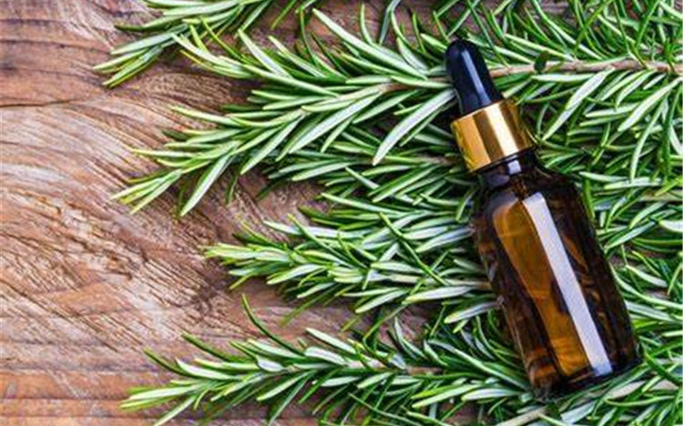 Rosemary + Essential + Oil Pure &amp; Natural