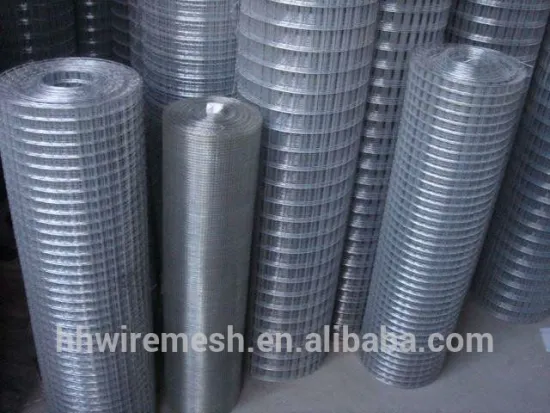 Best Price Galvanized Welded Wire Mesh (direct Factory)