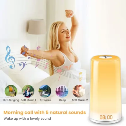 Wake-up Light Sunrise Simulation Alarm Clock