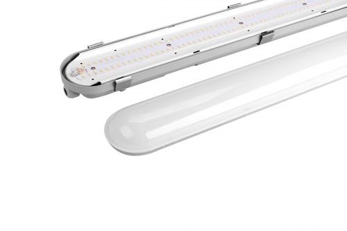 IP65 CE ROHS SAA OUTDOOR LED TRI-PROOF LIPE