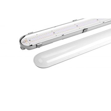 IP65 CE ROHS SAA LED TRI-AFFICIPE LED OUTDOOR