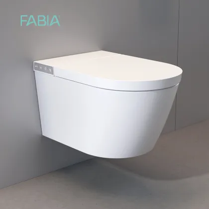 Modern Wall Mounted Smart Toilet System