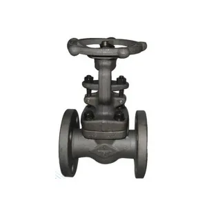 API Forged Gate Valve