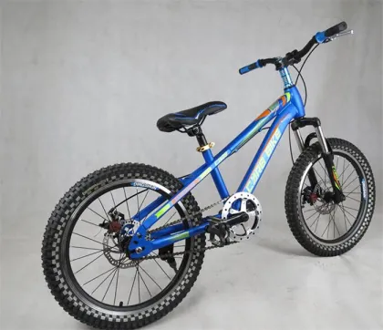 20 size mountain bike for boys