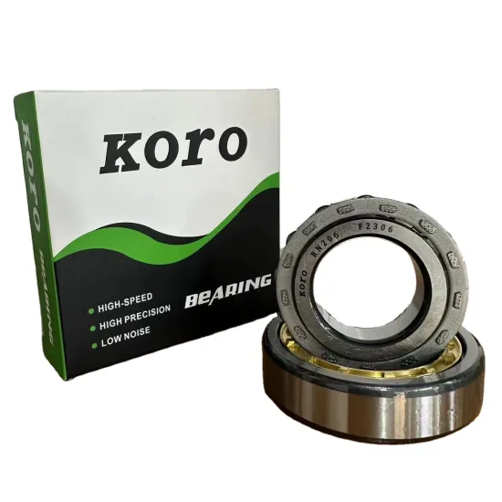 Wholesale Pricing for Famous Brands: RN307M, RN308M, RN309M, RN310M Cylindrical Roller Bearings