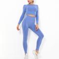 Long Sleeve Sports Running Thin Yoga Sets