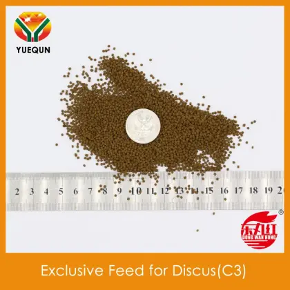 Wholesale Exclusive Feed for Discus C3