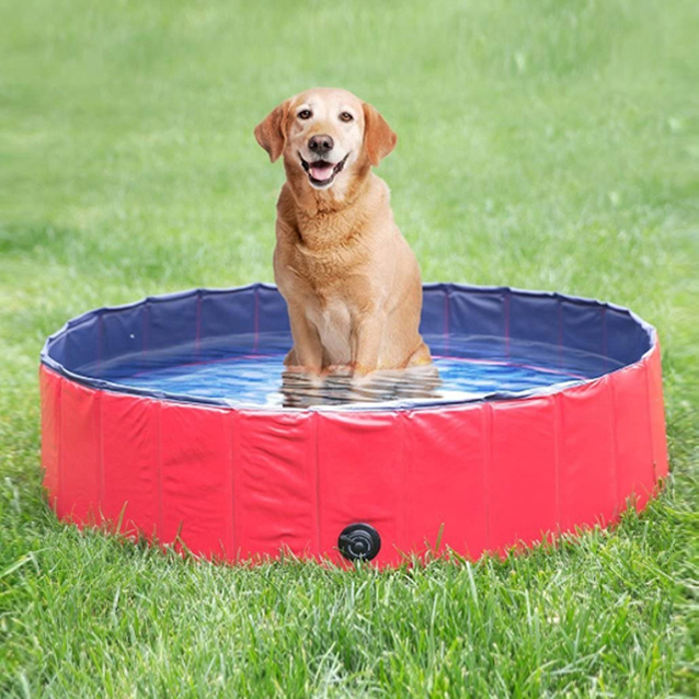 160cm Foldable Collapsible Pet Dog swimming pool