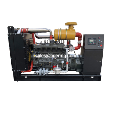 High Efficiency Bio Gas Generators 80kw-300kva Biogas Digester Canopy - Price