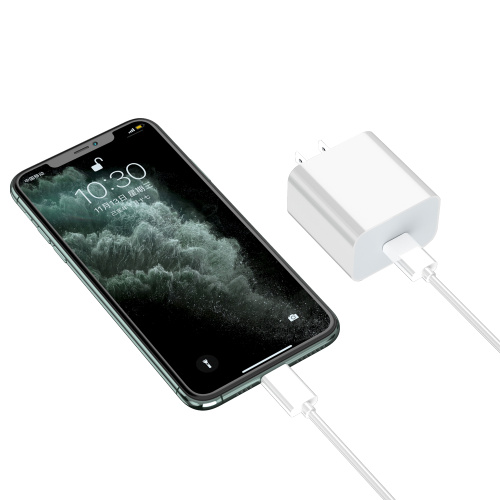 20W PD Charger with USB C Cable