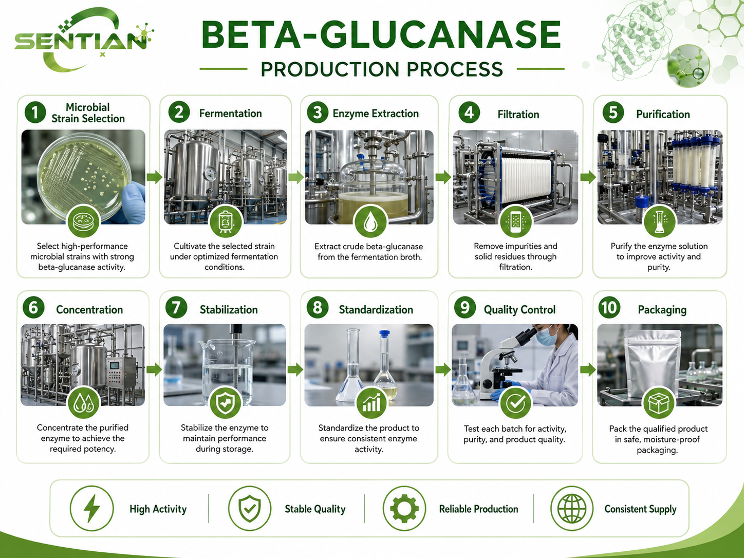 Beta-glucanase1