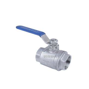 China Manufacture Industrial Plumbing SS316 Double Female Thread Ball Valve
