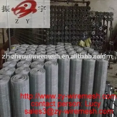 Wire mesh /Square Wire Mesh (best quality , best price , promation )