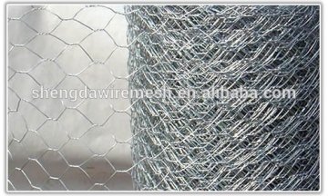 High quality hot galvanized industry hexagonal wire netting at lowest price(factory)