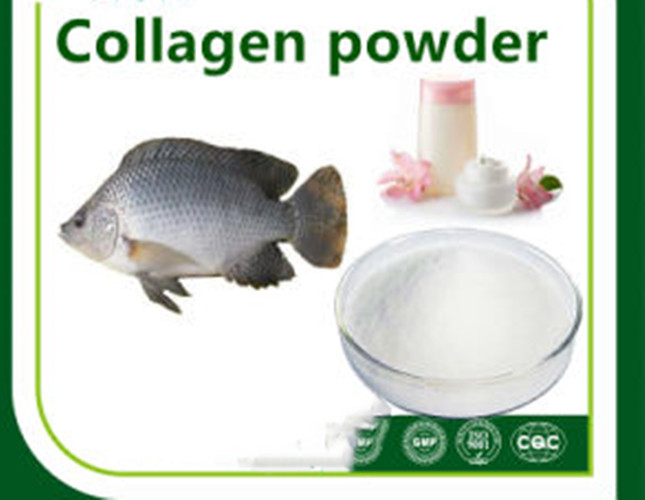 Natural-Skin-Care-Product-Fish-Collagen-Powder