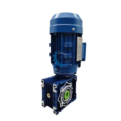 Speed Reducer Nmrv Micro Planetary Gearbox