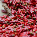 Sichuan pepper/cut pepper/dried pepper/red pepper