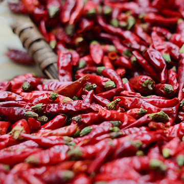 sichuan biber kırmızı sos kurutulmuş kırmızı biber